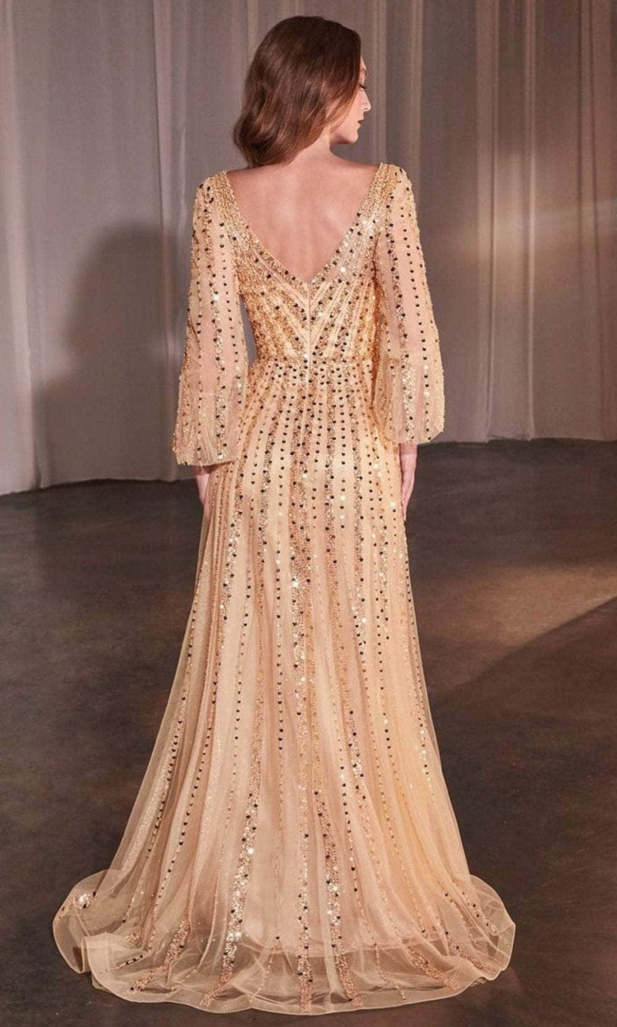 Dazzling Sheer Bishop Sleeve Evening Gown