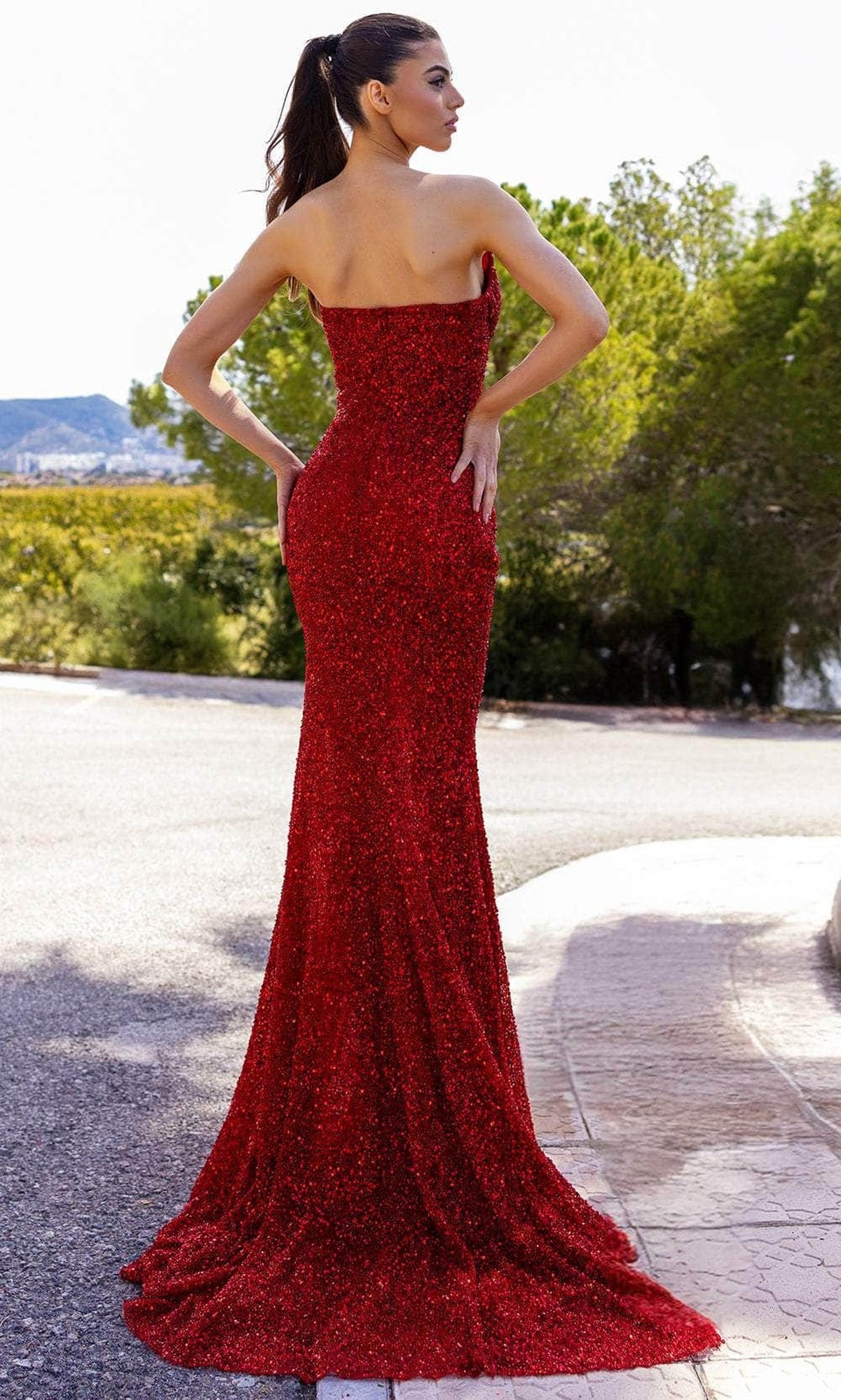 Chic & Holland AR330319 - Sweetheart Strapless Bodice Prom Gown