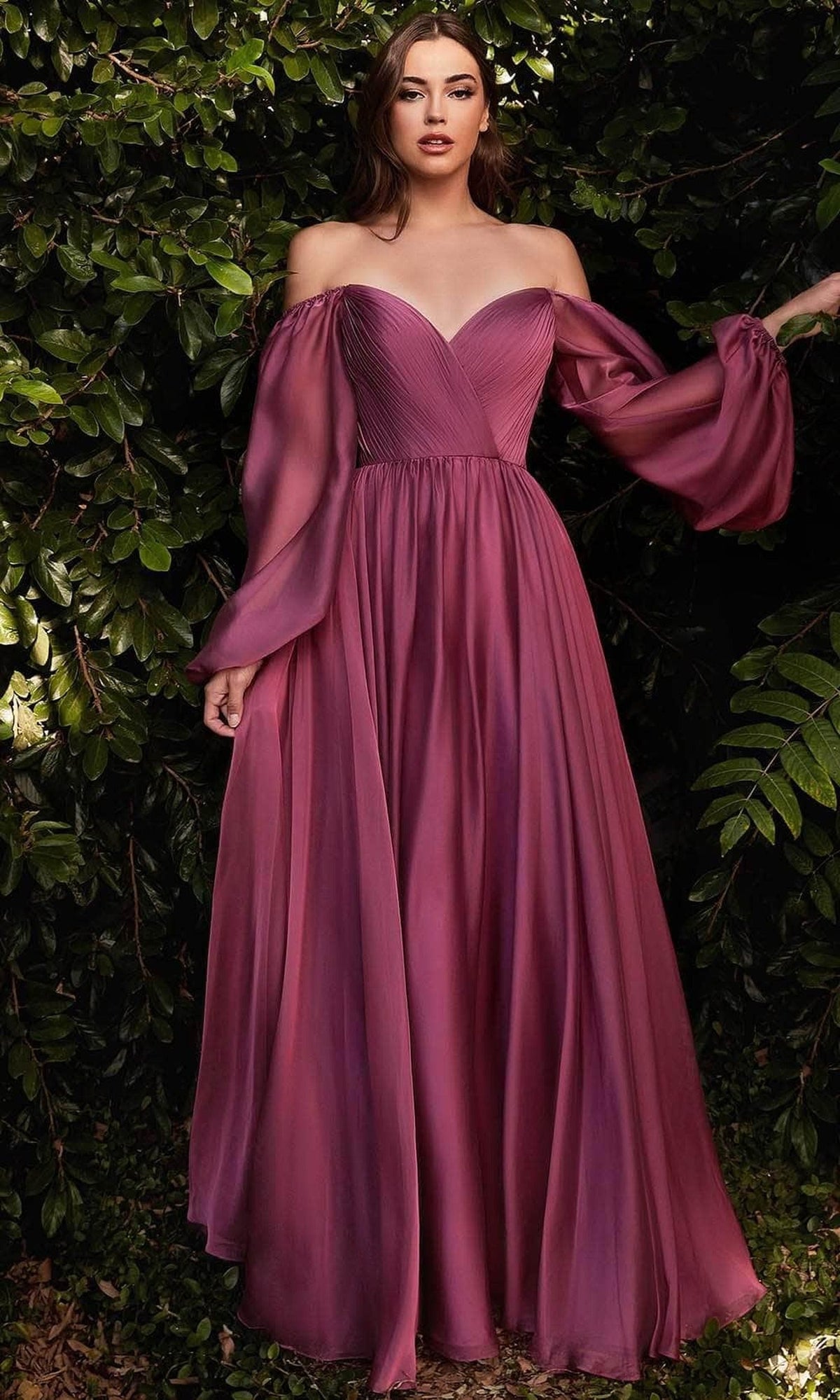 Ladivine CD243 - Long Sleeve Chiffon A-Line Dress